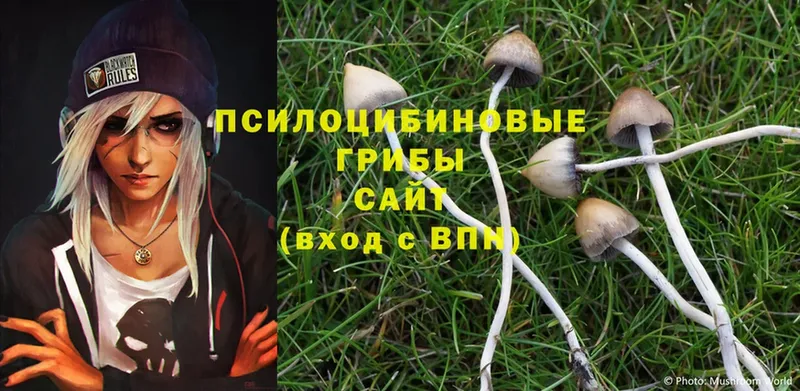 Галлюциногенные грибы Cubensis  Кубинка 